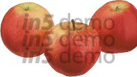 F-4029 * Fruchtkontor * Apfel Royal Gala * Artikelnummer * EAN * 15.12.03 * Lebensmittel * Obst